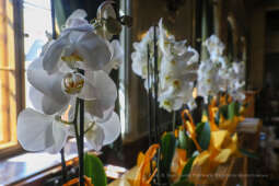 bs_210820_5433.jpg-Dyrektorzy, powierzenia, Anna Korfel - Jasińska