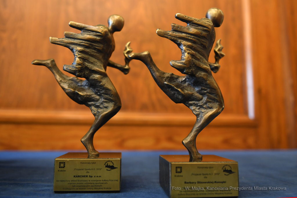 011jpg.jpg-Przyjaciel Sportu 2019  Autor: W. Majka