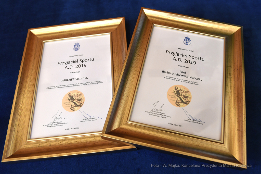 022jpg.jpg-Przyjaciel Sportu 2019  Autor: W. Majka