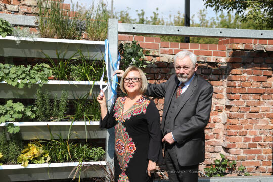 bs_210913_3495.jpg-Park Wisła, Frankfurt