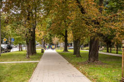 bs-września 25, 2021-jg1_210925_202a4765.jpg-Skwer, Majchrowski, Nowa Huta