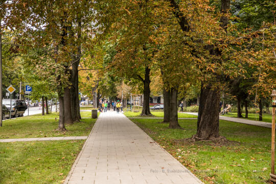 bs-września 25, 2021-jg1_210925_202a4765.jpg-Skwer, Majchrowski, Nowa Huta