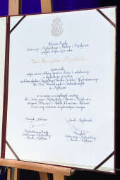 011jpg.jpg-Brązowe Cracoviae Merenti