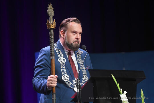 4343jpg.jpg-Brązowe Cracoviae Merenti