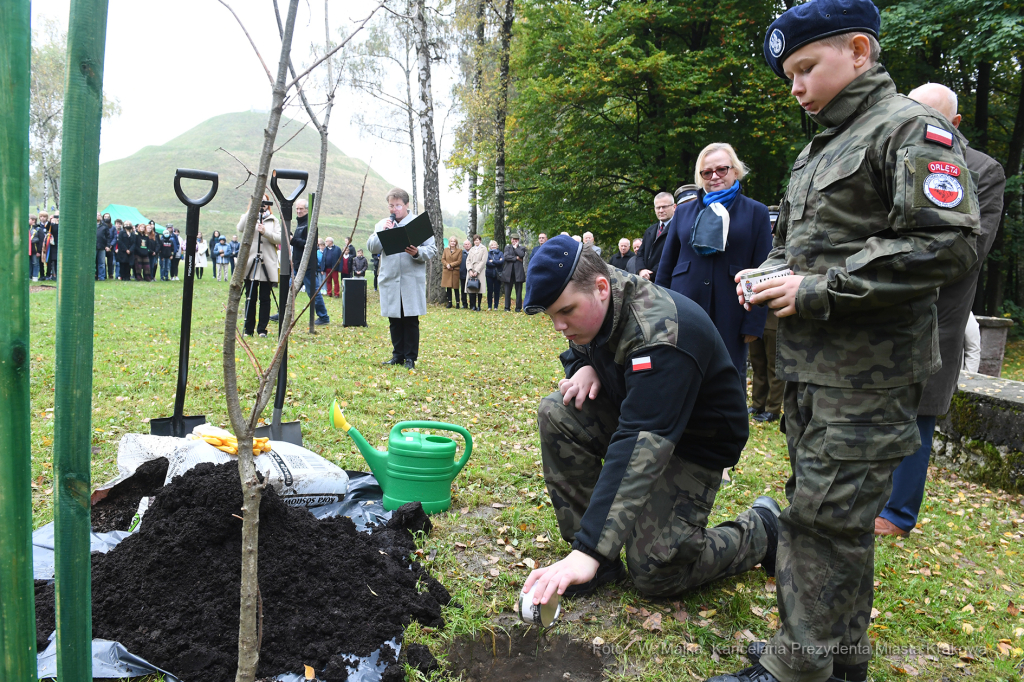 2727jpg.jpg-skwer Antosia Petrykiewicza  Autor: W. Majka