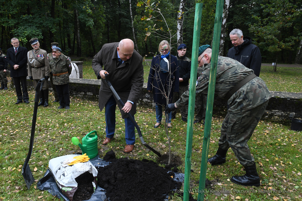 2828jpg.jpg-skwer Antosia Petrykiewicza  Autor: W. Majka