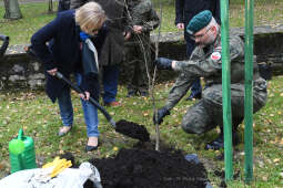 2929jpg.jpg-skwer Antosia Petrykiewicza