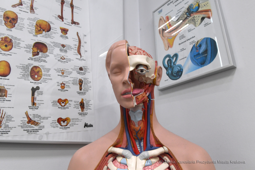 099jpg.jpg-centrum rodziców  Autor: W. Majka