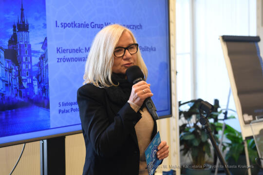 066jpg.jpg-I spotkanie Grup Wykonawczych   Kierunek: Miasto dla Wszystkich