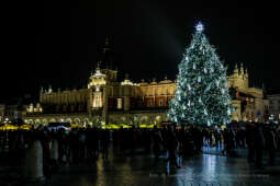 bs_211127_5375.jpg-Choinka 2021, Majchrowski