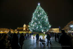 bs_211127_5396.jpg-Choinka 2021, Majchrowski