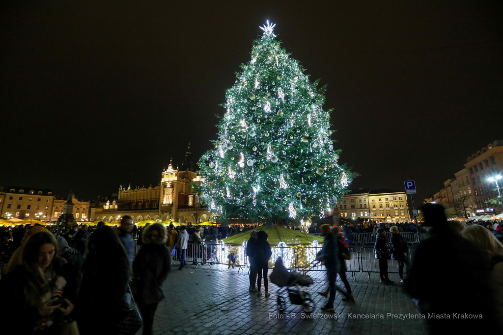 bs_211127_5396.jpg-Choinka 2021, Majchrowski  Autor: B. Świerzowski