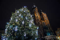 bs_211127_5399.jpg-Choinka 2021, Majchrowski