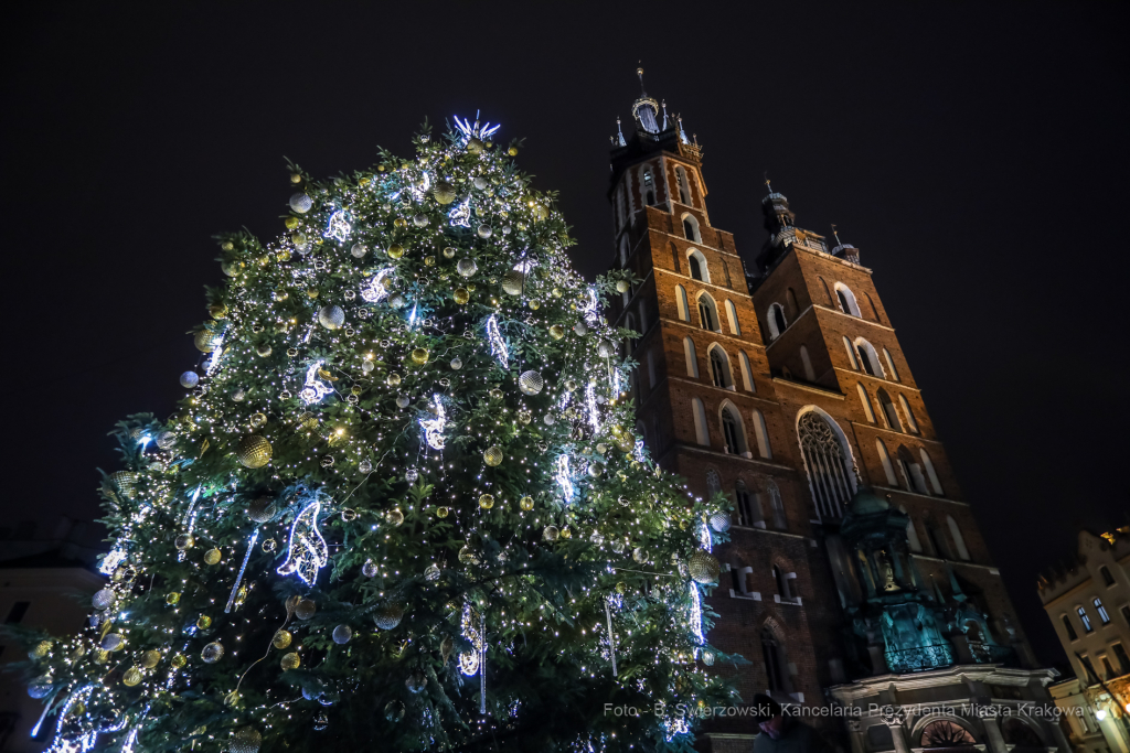 bs_211127_5399.jpg-Choinka 2021, Majchrowski  Autor: B. Świerzowski