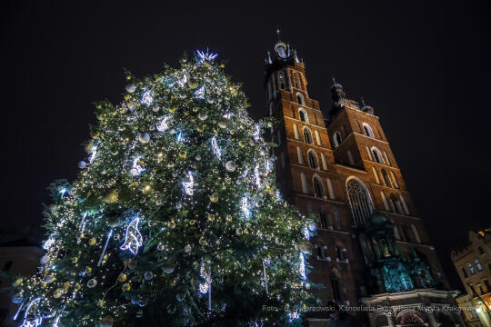 bs_211127_5399.jpg-Choinka 2021, Majchrowski