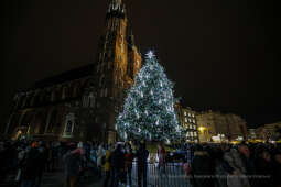 bs_211127_5411.jpg-Choinka 2021, Majchrowski