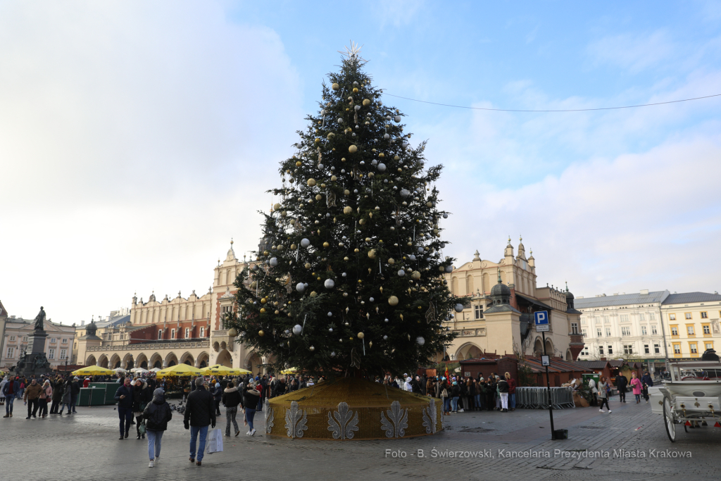 bs_211127_5833.jpg-Choinka 2021, Majchrowski  Autor: B. Świerzowski