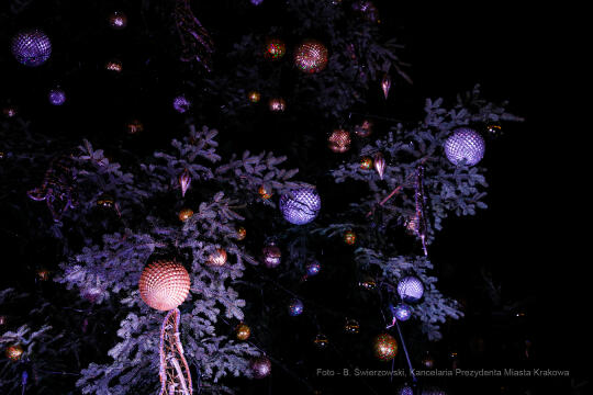 bs_211127_6050.jpg-Choinka 2021, Majchrowski