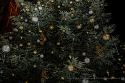 bs_211127_6081.jpg-Choinka 2021, Majchrowski