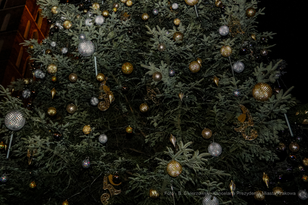 bs_211127_6081.jpg-Choinka 2021, Majchrowski  Autor: B. Świerzowski