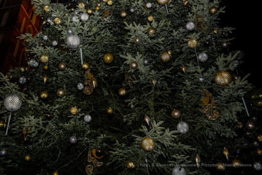 bs_211127_6081.jpg-Choinka 2021, Majchrowski