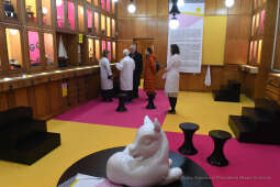 2424jpg.jpg-klinika zabawek