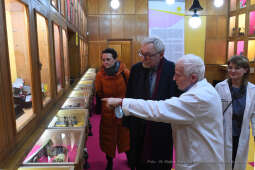 2727jpg.jpg-klinika zabawek