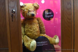 3131jpg.jpg-klinika zabawek