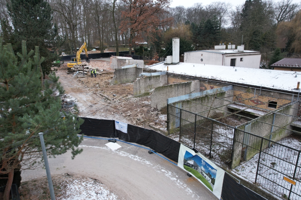 dji_0223.jpg-budowa nowego pawilonu dla szympansów i makaków japońskich w krakowskim zoo.