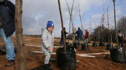 p1020535.jpg-Park Krakowian