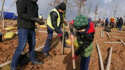 p1020540.jpg-Park Krakowian