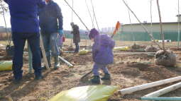 p1020586.jpg-Park Krakowian