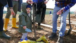 p1020587.jpg-Park Krakowian