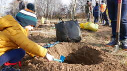 p1020594.jpg-Park Krakowian