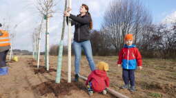 p1020762.jpg-Park Krakowian