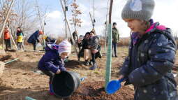 p1020780.jpg-Park Krakowian