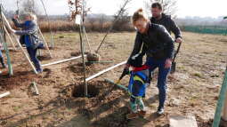 p1020819.jpg-Park Krakowian