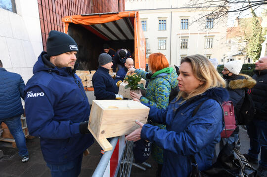 dsc_5745 kopia.jpg-„Kraków w dobrym klimacie”