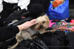 1212jpg.jpg-Punkt recepcyjno-wypoczynkowy dla Ukraińców