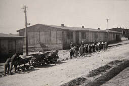 3535jpg.jpg-Niechciana stołeczność.