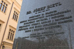 011jpg.jpg-Józefa Dietla