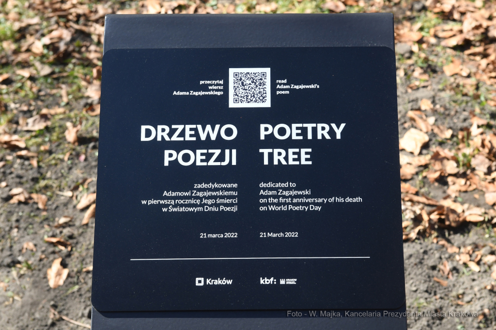 3434jpg.jpg-Spotkanie przy Drzewie Poezji w 1. rocznicę śmierci Adama Zagajewskiego  Autor: W. Majka