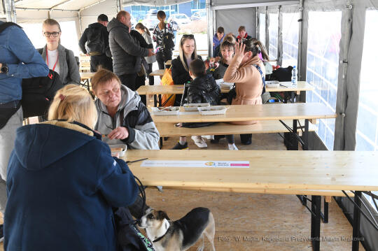 3131jpg.jpg-Mer Paryża Panią Anne Hidalgo