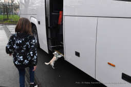 055jpg.jpg-Wyjazd uchodźców ukraińskich z Krakowa