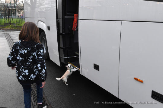 055jpg.jpg-Wyjazd uchodźców ukraińskich z Krakowa