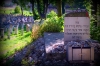 Stary cmentarz przy synagodze Remu