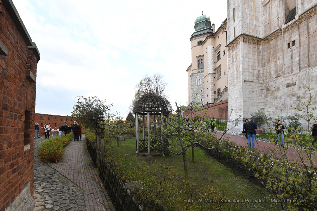 099jpg.jpg-Otwarcie wystawy „Smoczy Ogród. Bronisław Chromy na Wawelu”  Autor: W. Majka