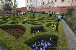 1414jpg.jpg-Otwarcie wystawy „Smoczy Ogród. Bronisław Chromy na Wawelu”