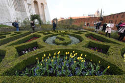 1515jpg.jpg-Otwarcie wystawy „Smoczy Ogród. Bronisław Chromy na Wawelu”