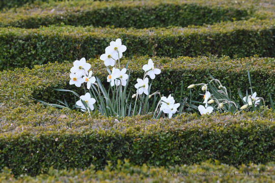 2828jpg.jpg-Otwarcie wystawy „Smoczy Ogród. Bronisław Chromy na Wawelu”